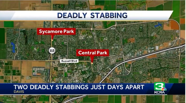 davis-park-stabbing