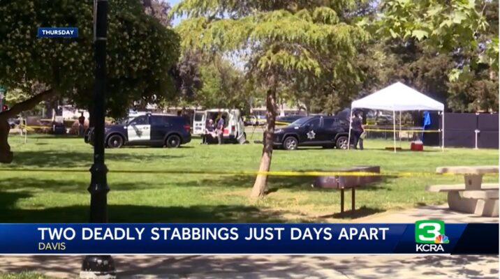 davis-park-stabbing2