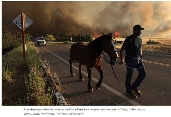 california-wildfire